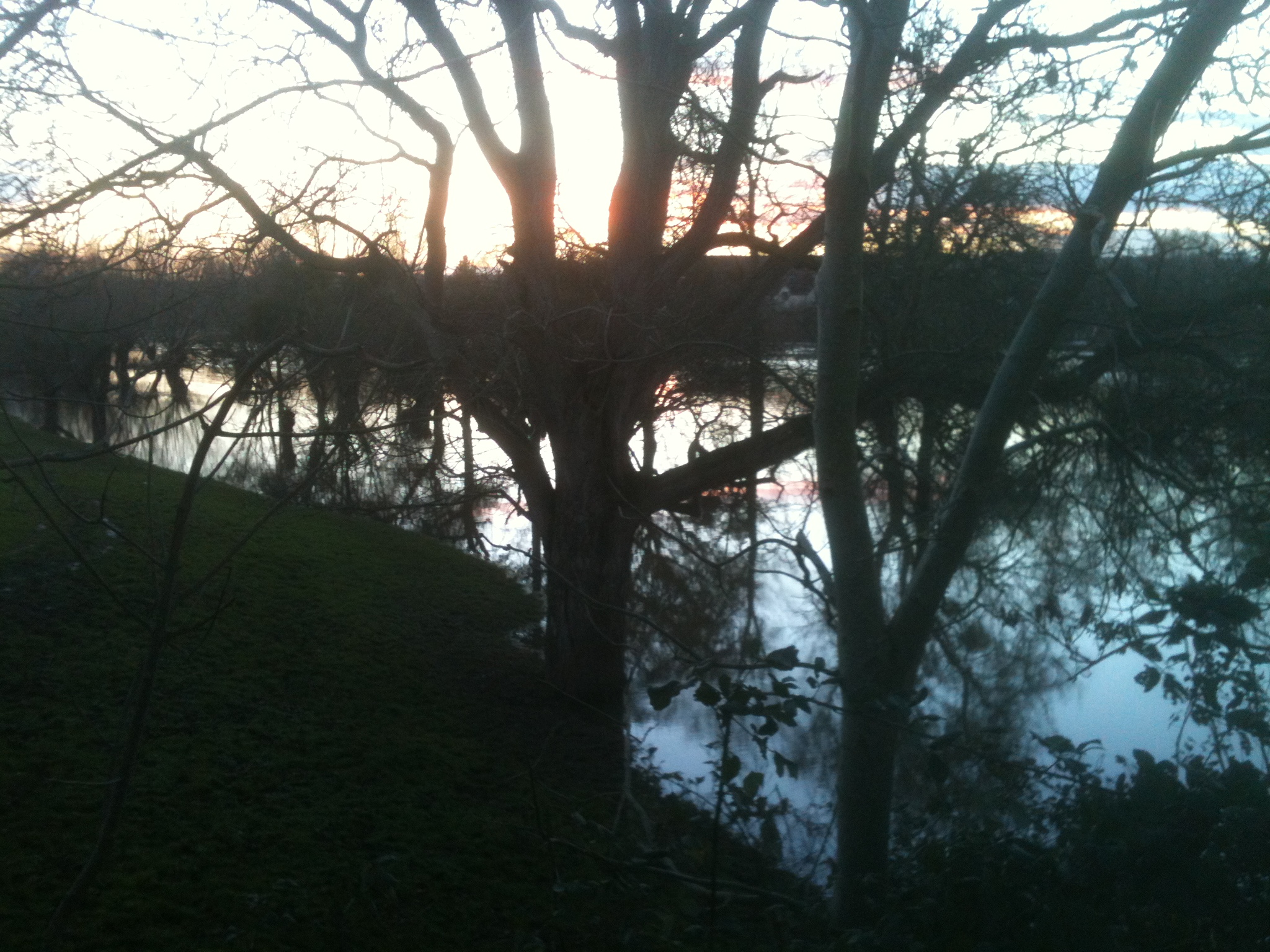flooded field in Herefordshire