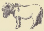 drawing of Shetland pony